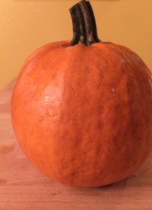 Pie Pumpkin